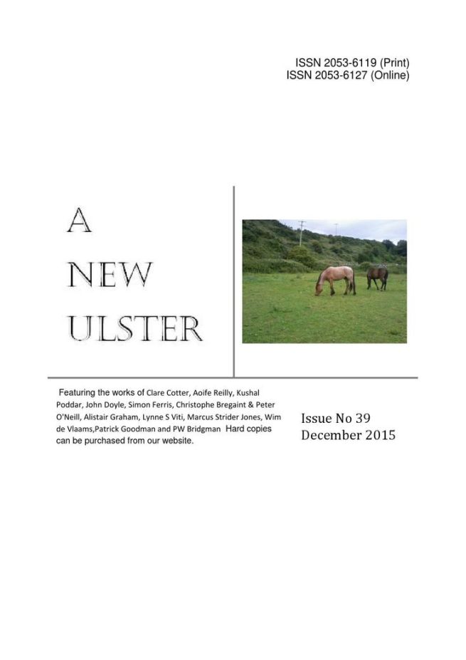 A New Ulster Issue 39, 6 Poems by Strider Marcus Jones