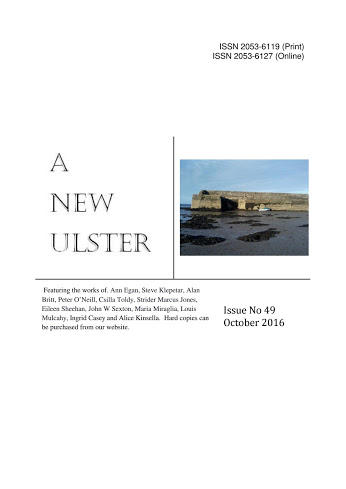a-new-ulster-issue-49-6-poems-by-strider-marcus-jones